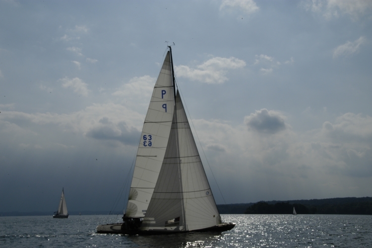 P63.jpg