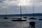 IMGP1033.jpg