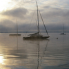 IMGP6377.jpg