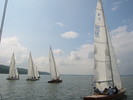 IMG_2799.jpg