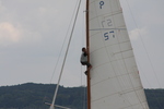 IMG_9393.jpg