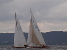 P8133173.jpg